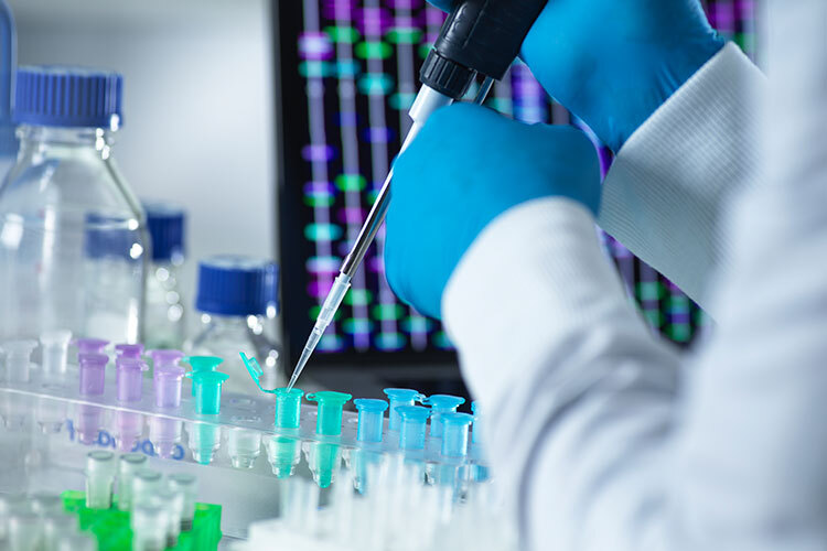 La biotecnología del envejecimiento